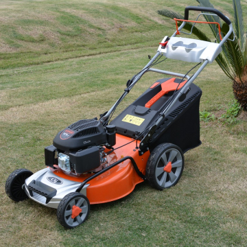 21 Inch Steel Deck Gas Lawn Mower 92# 4-Stroke Self-Propelled CJ21G4IN1L159