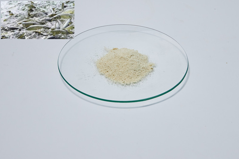 Soybean Phospholipid powder can Growth animals promotion