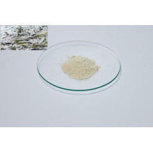 Soybean Phospholipid powder can Growth animals promotion