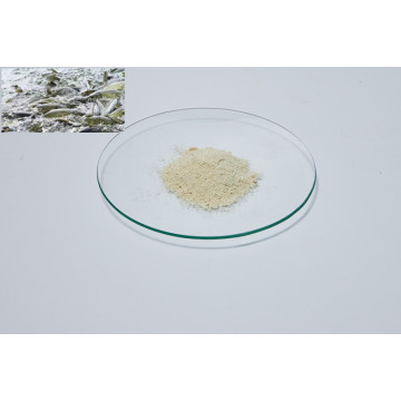 Soybean Phospholipid powder can Growth animals promotion