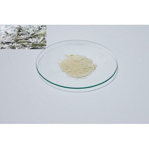 Soybean Phospholipid powder can Growth animals promotion