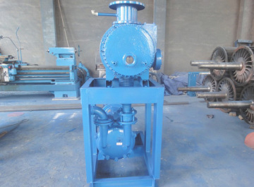 TLZ Centrifugal Dehumidification Vacuum Pump