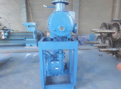 2BE1 Native Paper Water Vacuum Pump
