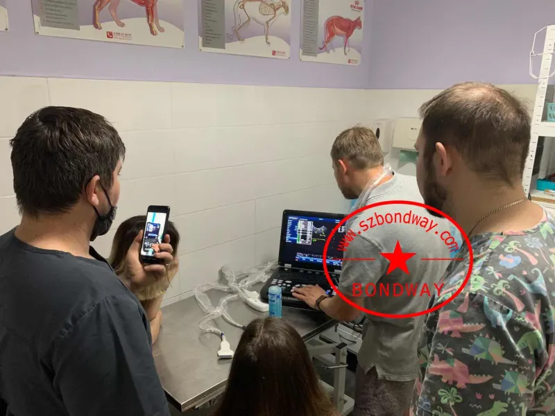 Es230V Veterinary Ultrasound Color Doppler System
