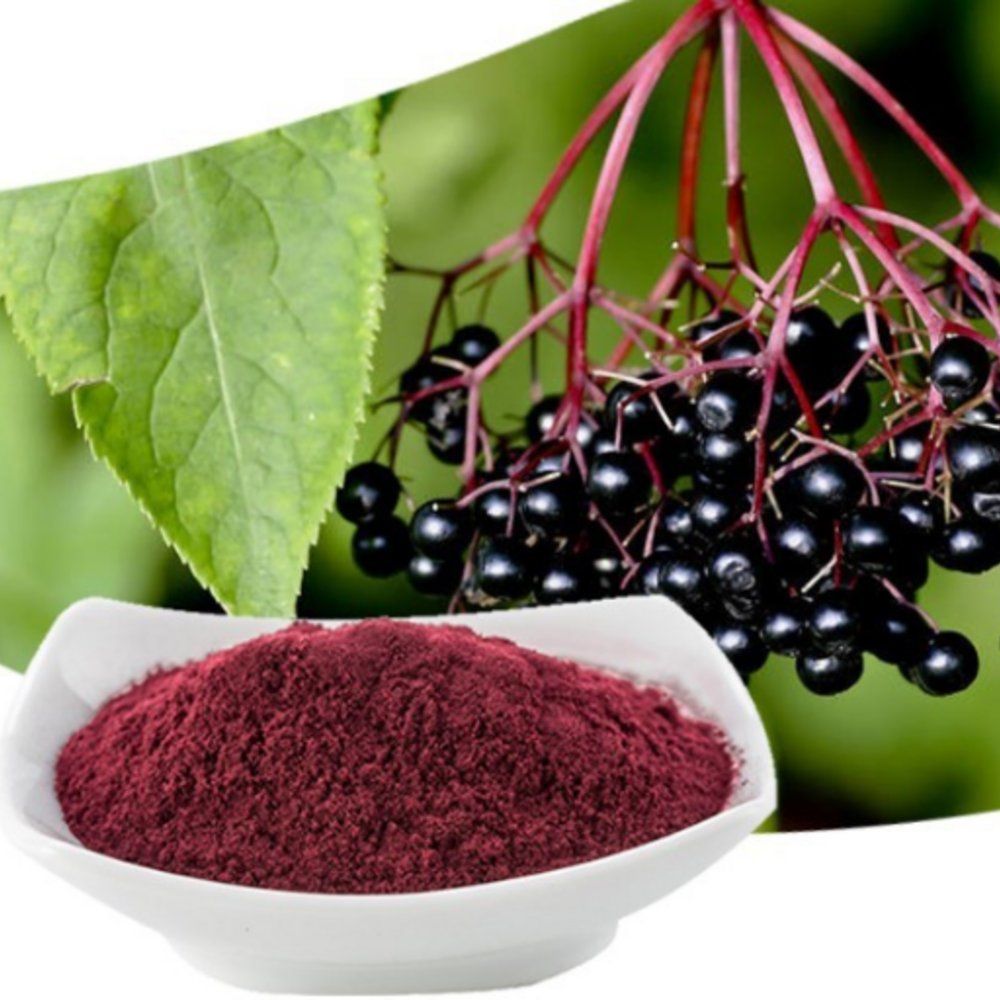Elderberry extract (1)