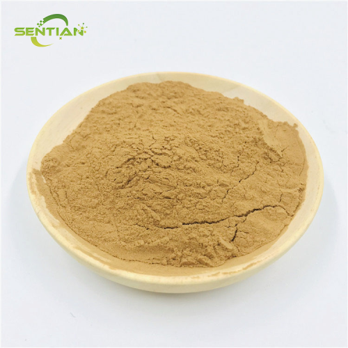 Natural Cynomorium Extract for Dietary Use