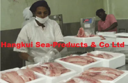 Nile Perch fish fillets