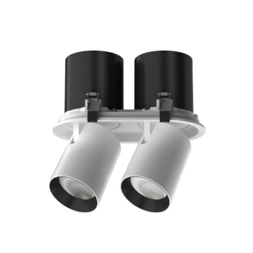 25W Dual Head LED Recessed Spotlight