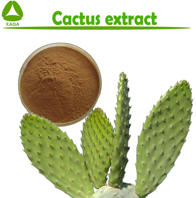 Cactus extract