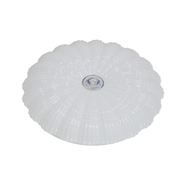High Quality RGB Light Panel - Beautiful Flower Shape Acrylic LED Ceiling Light (24W/48W) for Bedroom