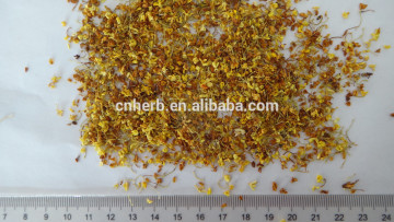 sweet-scented osmanthus/Gui Hua/Sweet Olive