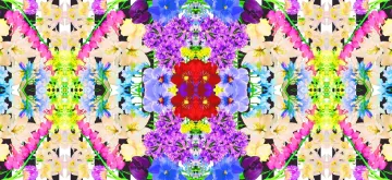 organic silk fabric