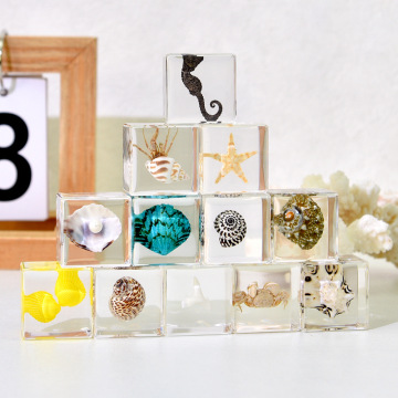 Marine Life Resin Craft: Conch and Shrimp for Kindergarten Education