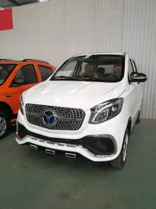 Mini Electric car New Energy Car