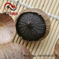 /msite/products/detail/productid/53570622/id/513097.html