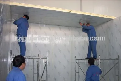 deep freezer for food quick freezing rooms