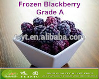 2015 Frozen Blackberry With Good Quality in Good Frozen Condition Hot Sale