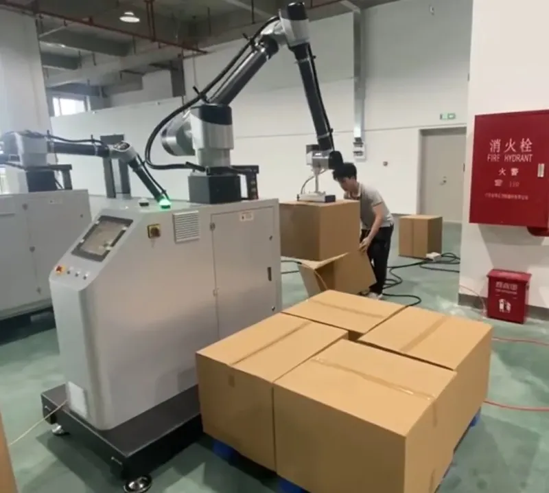 Collaborative Robots Stacking Machine Palletizer Robot for 30kg Carton