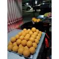Agente lievitante composto per prodotti noodle fritti