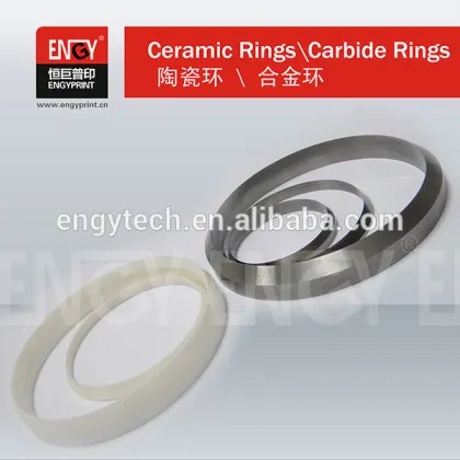 Tungsten Carbide Doctor Ring For Printing Machine