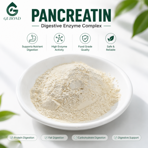 Polvo de enzima pancreatina para aplicaciones farmacéuticas de apoyo digestivo
