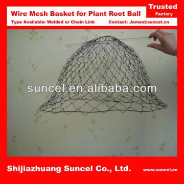 Plant Rootball Mesh