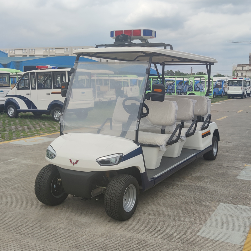 6-seat lead-acid battery vehicle