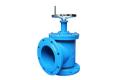 ANTI-SEISMIC ขยายตัวเข้าร่วม CI GATE VALVE