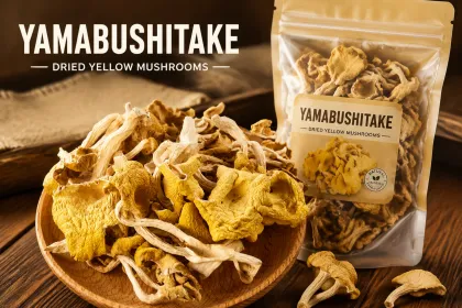 Elm Yellow Mushroom Foods