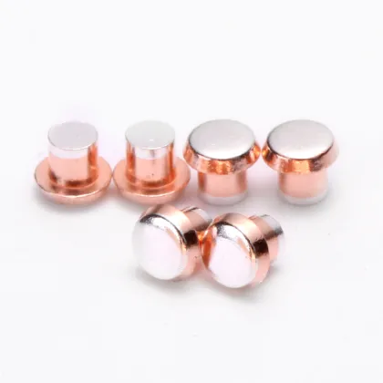 High Quality Relay Electrical Contact Rivets - Trimetal Silver Contact Rivets for Automotive Electric Appliances