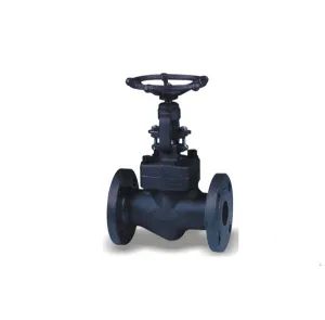 API  Forged Steel Globe Valve