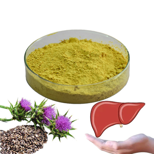 Milk thistle powder silymarin used for liver care