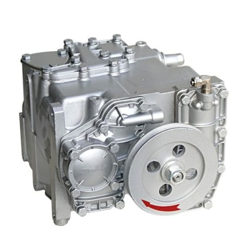 Gear Pump for Fuel Dispenser