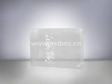 Transparent Plastic Boxes