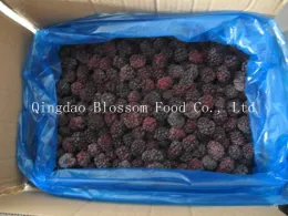 IQF Frozen Blackberry