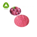 Gefriergetrocknetes Red Bayberry Waxberry Fruchtsaftpulver