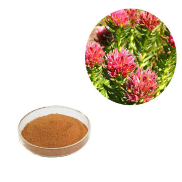 Buy online CAS10338-51-9 rhodiola extract for weight loss