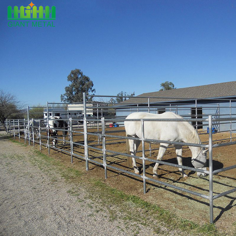 Hot Sale Welded Galvanized Horse Fence