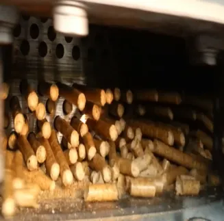 Biomass Fuel Pellets Machinery