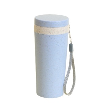 Custom Printed Logo Double-Layer Creative Plastic Wheat Straw Water Cup Gifts
