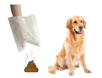 Environmentally Friendly Biodegradable Water-Soluble Dog Poop Bags