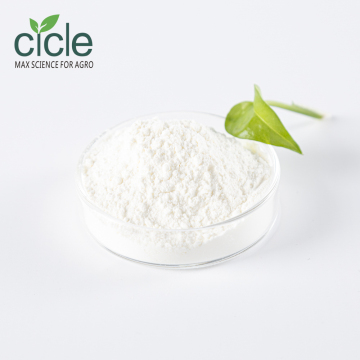 (+)-حمض Abscisic CIS-Trans (S-ABA) 95 ٪ TC 10 ٪ SP