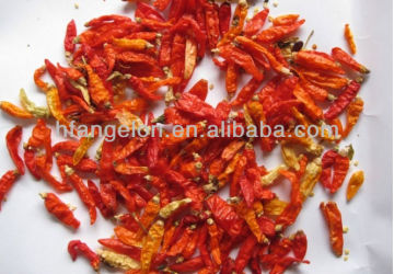 Angelon hot sale dried/fresh chilli color sorting machine CCD color sorter vegetable sorting machine