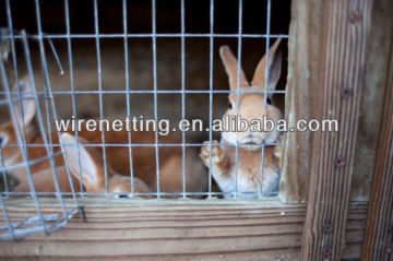 Rabbit proof garden fence (Baodi Manufacture)