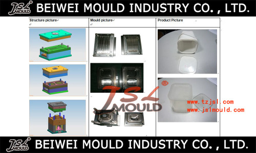 Ice Cream Container Mould