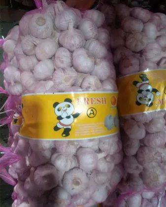 fresh chinese pure white garlic import china garlic good farmer garlic