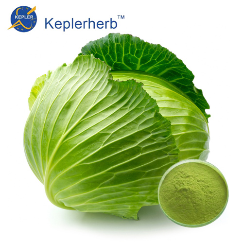 Cabbage extract powder factory supply sample free