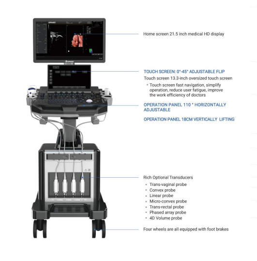 3D/4D Adjustable Color Ultrasonic Diagnostic Apparatus