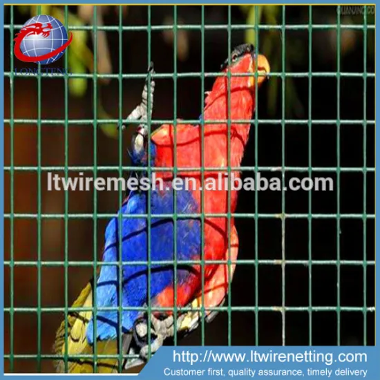 Cheap price pvc coated welded bird cage wire mesh for sale