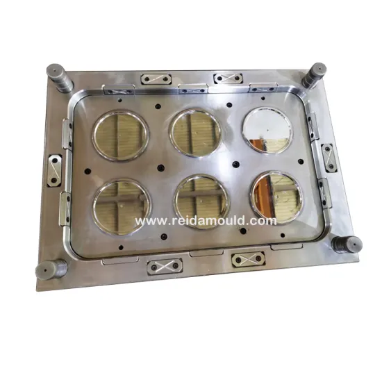 High-Quality Plastic Petri Dish Injection Mould